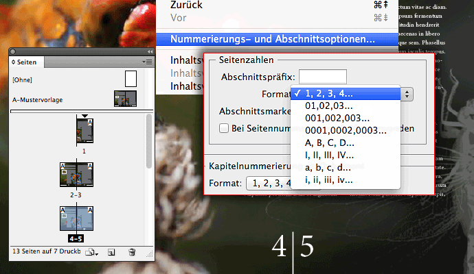 Seitennummerierung in InDesign formatieren