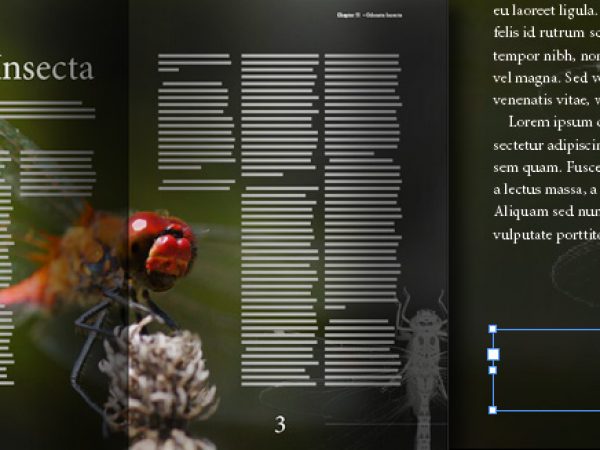 Indesign Tutorial Automatische Seitennummerierungen In Indesign Anlegen Und Gestalten