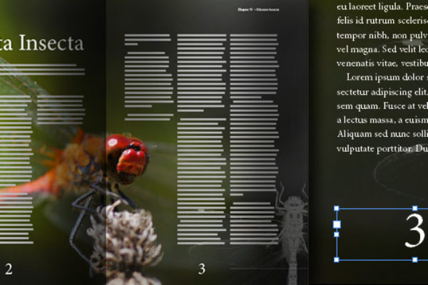 0014_01_Seitenzahlen_in_InDesign